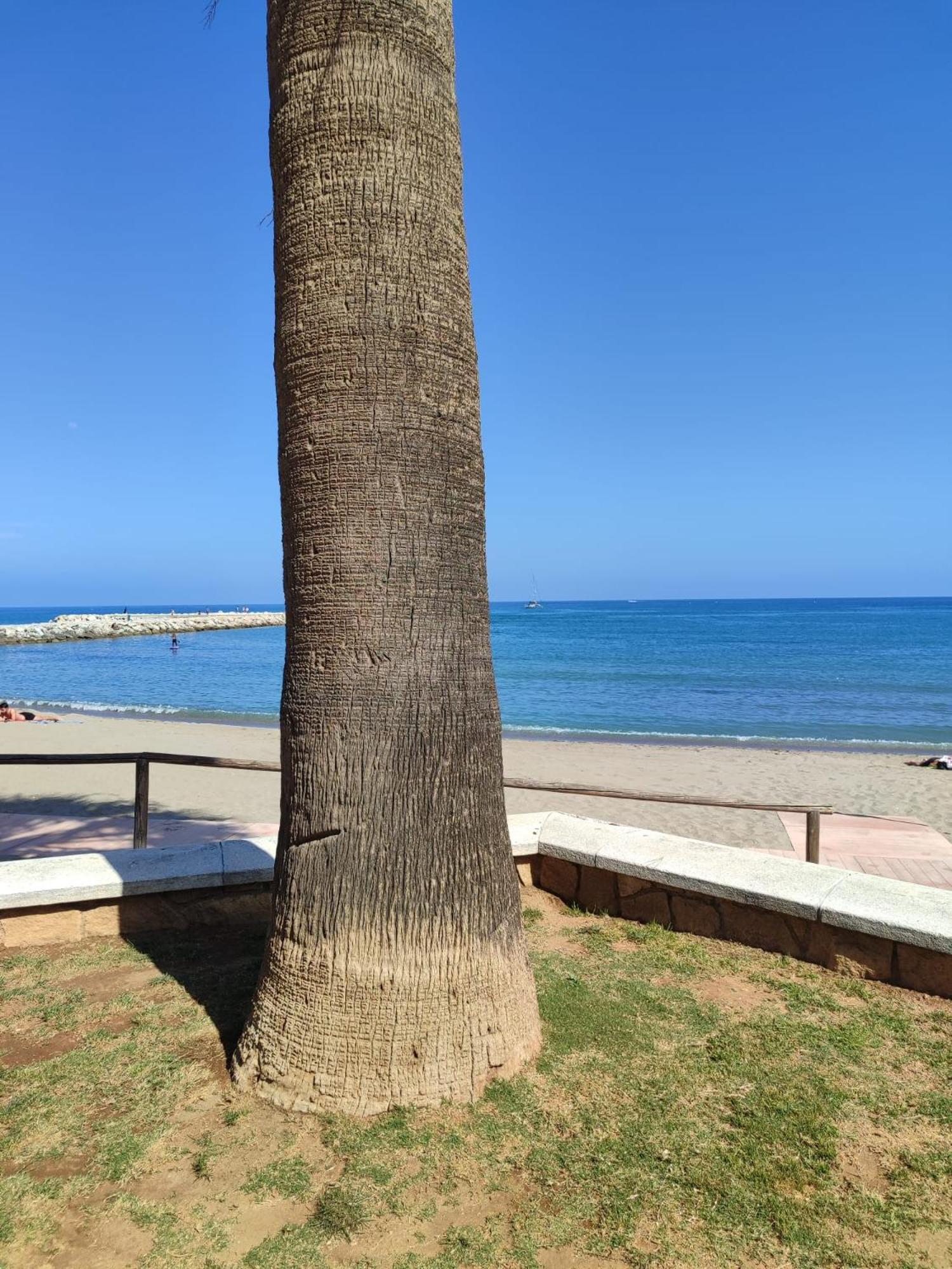 Fuengirola Reyes Beach Eksteriør billede